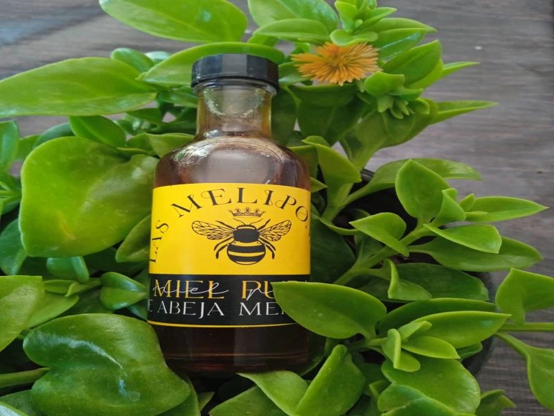 Miel de abeja melipona Melipona beecheii – 50 ml